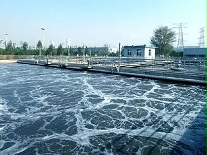 含油废水处理方案，只告诉圈内人，不要外传！
