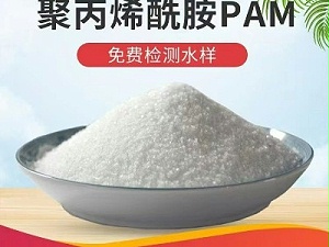 阴离子聚丙烯酰胺