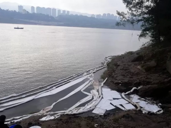 8e05a789e9865e08dbb94c727f302101 8e05a789e9865e08dbb94c727f302101