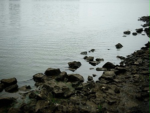 臭氧氧化处理的相关处理方法