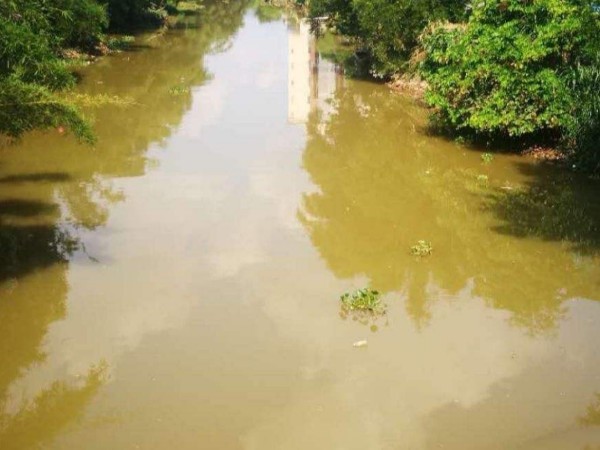 4d48fa5dd6f34c512dccfa1591af4903