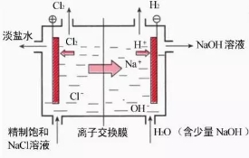 e2615eda43842d47f608fc10a7bcbd3