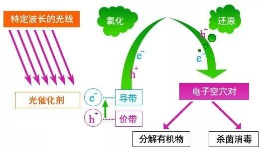 微信图片_20190418141914